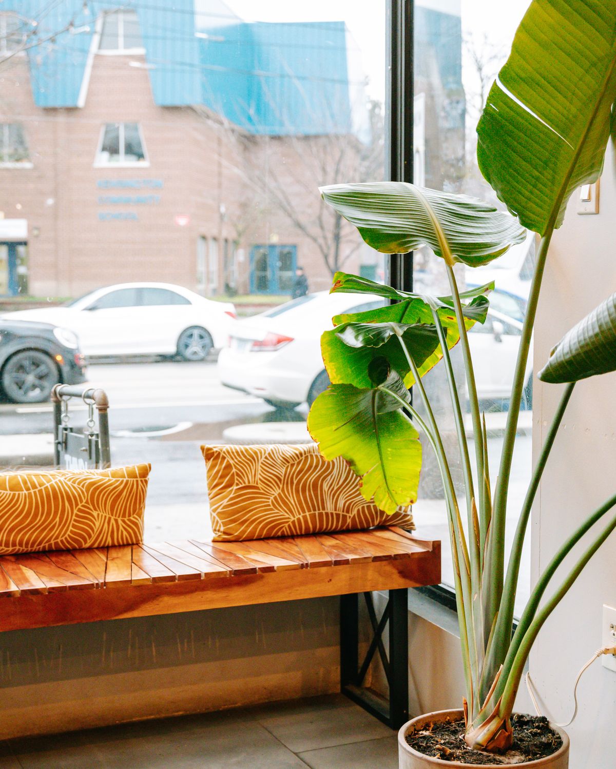 A window seat at Thindi Cafe with a coffee, a plant and the street outside